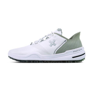 PAYNTR X 005 F (White & Silver)